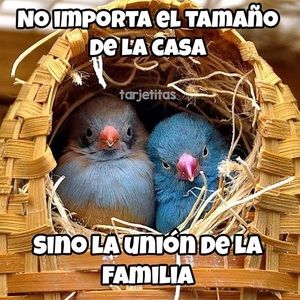 Meet your Posher, Santos